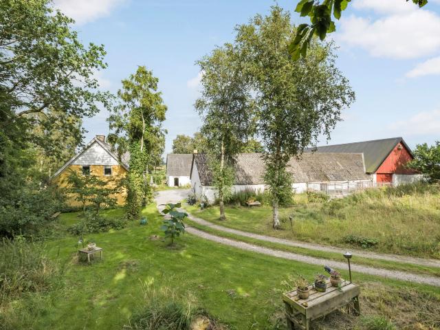 Landejendom til salg i Terndrup, Brønderslev-Dronninglund