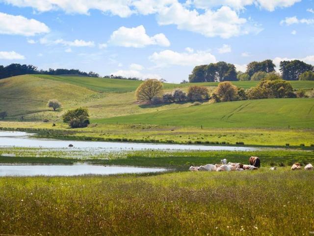 Villa till salu i Grönalund, Skåne län