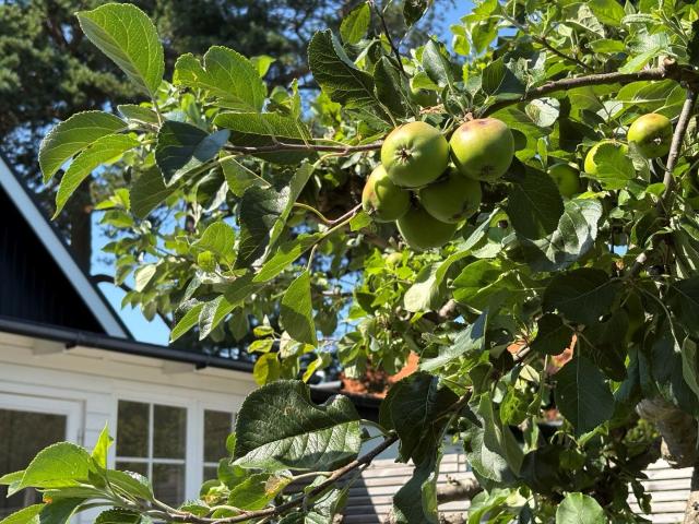 Villa till salu i Häljarp, Skåne