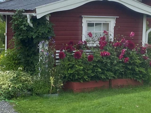 Villa till salu i Västerbotten
