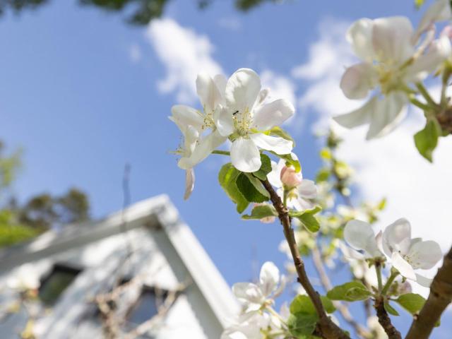 Villa till salu i Kungälv, Västra Götaland