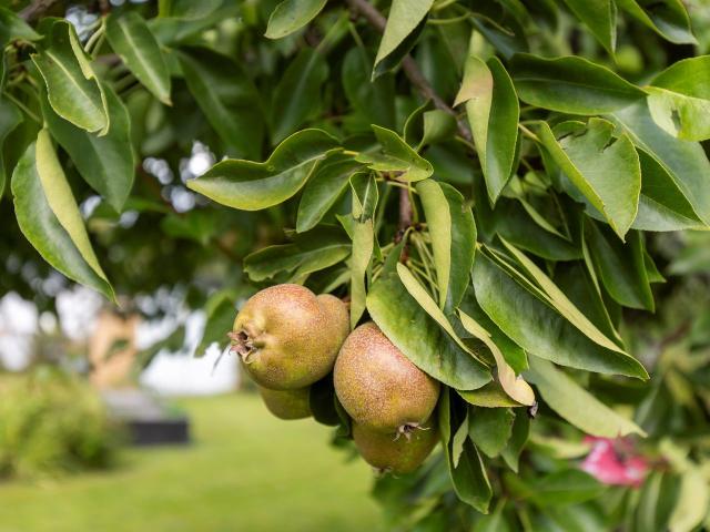 Villa till salu i Lindesberg, Örebro