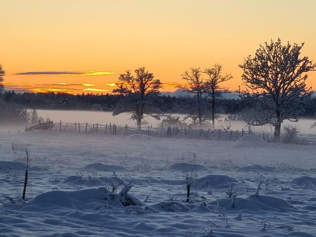 Villa till salu i Gotland