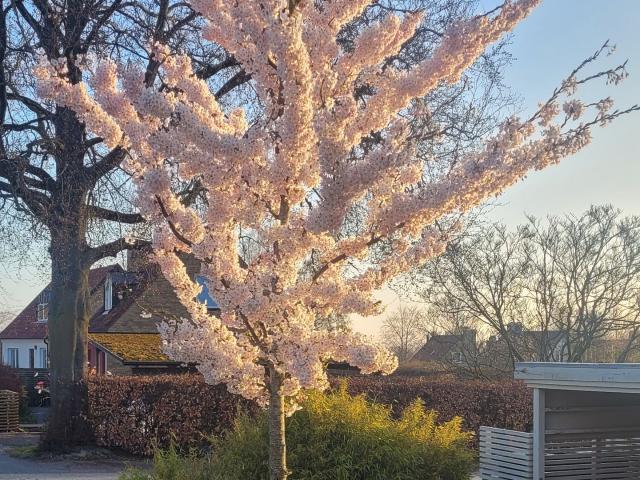 Villa till salu i Södra Sandby, Skåne