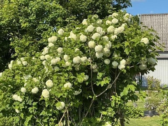 Villa till salu i Tjällmo, Östergötlands län