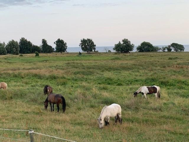 Villa till salu i Skåne
