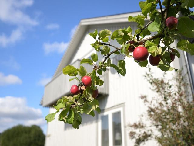 Villa till salu i Umeå, Västerbotten