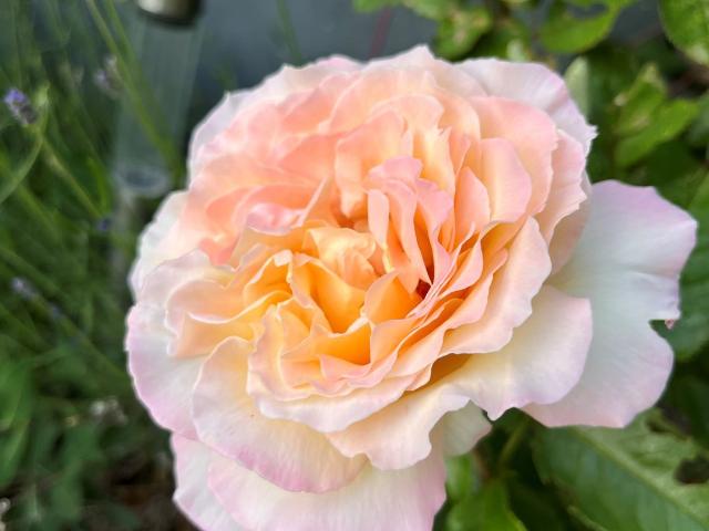 Villa till salu i Västra Götaland