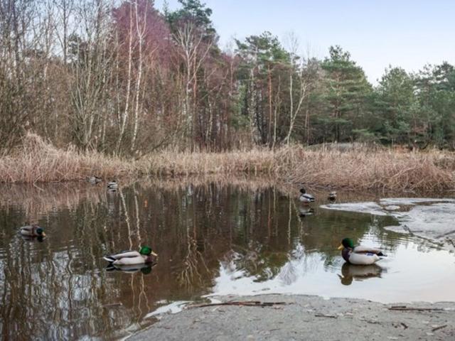 Villa till salu i Påvelund, Göteborg