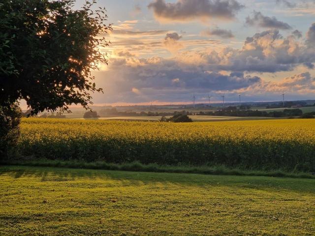 Villa till salu i Veinge, Halland