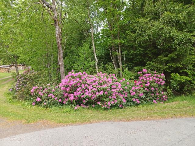 Villa till salu i Skåne