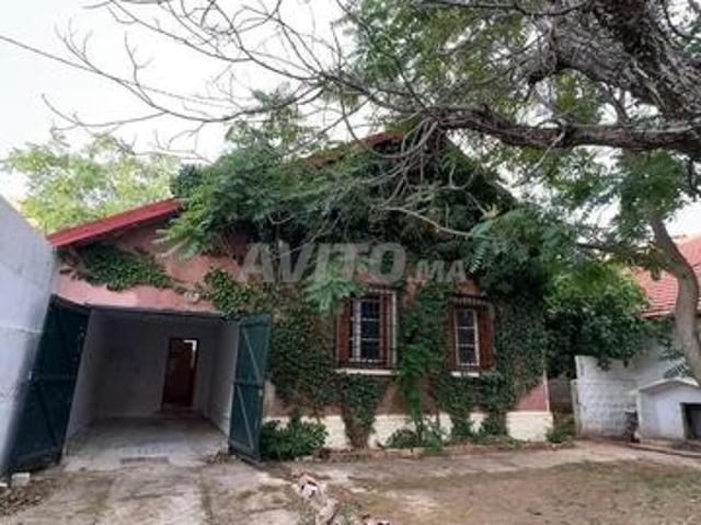 Propriété vente à Azrou