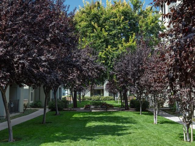 Apartment for rent in San Jose, California
