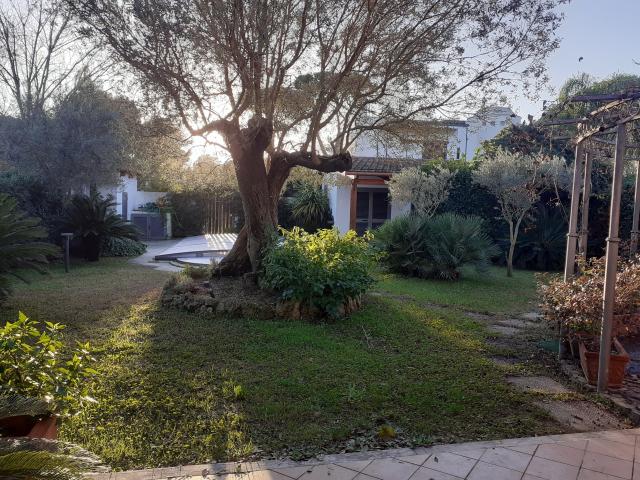 Villa Indipendente in affitto a Colonia Elena – Golfo Sereno, San Felice Circeo