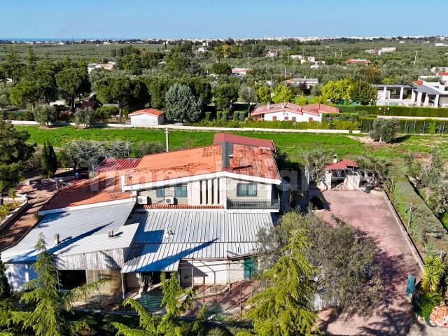 Villa Indipendente in affitto a Puglia, Barletta-andria-trani