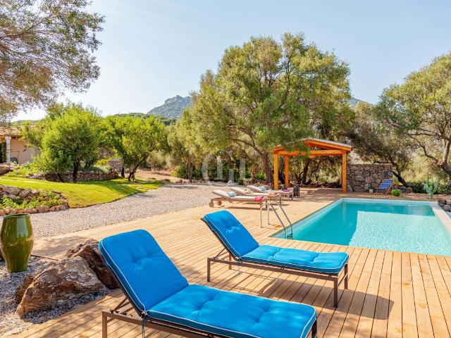 Villa Indipendente in vendita a Alzachèna/Arzachena, Arzachena