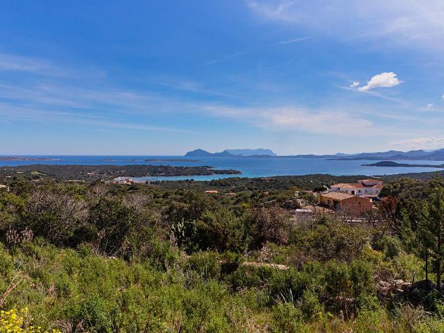 Villa Indipendente in vendita a Alzachèna/Arzachena, Arzachena