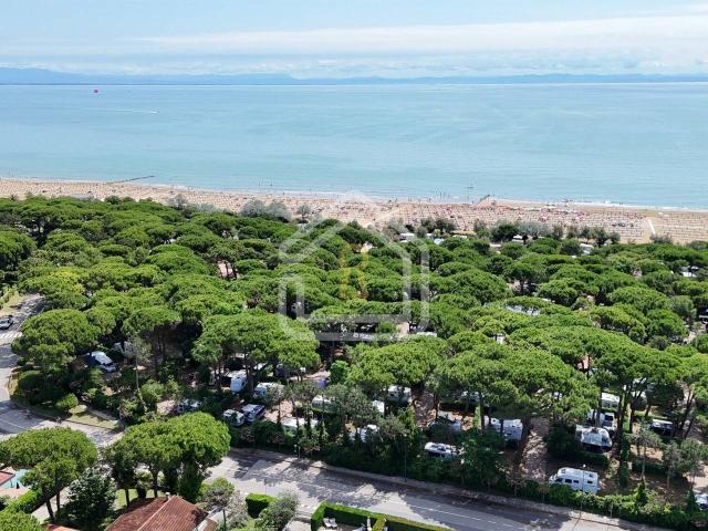 Villa Indipendente in vendita a Lignano Riviera, Lignano Pineta