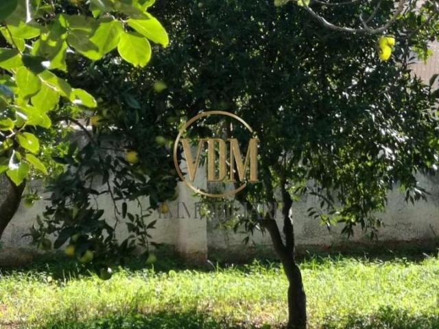 Villa Indipendente in vendita a Marsala, Sicilia
