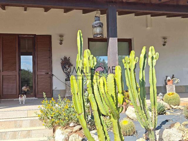 Villa Indipendente in vendita a Marsala, Sicilia