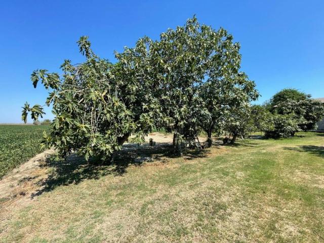 Villa Indipendente in vendita a Savio di Ravenna, Ravenna