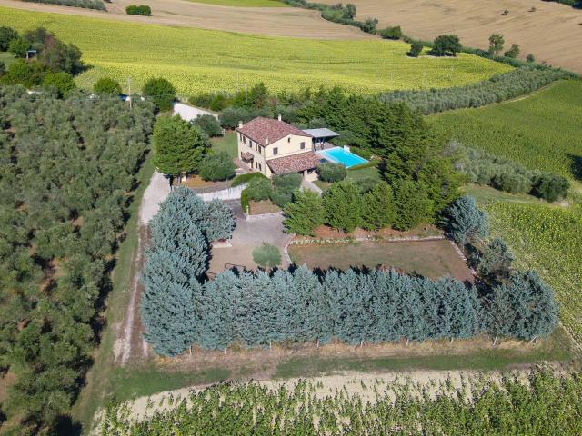 Villa Indipendente in vendita a Marche, Ancona