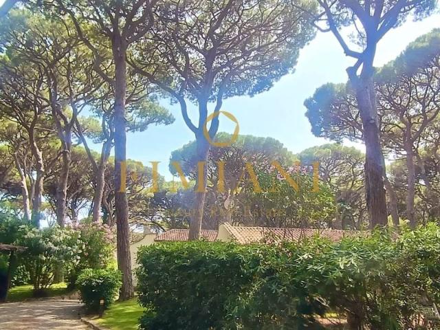 Villa Indipendente in affitto a Castiglione Della Pescaia, Toscana
