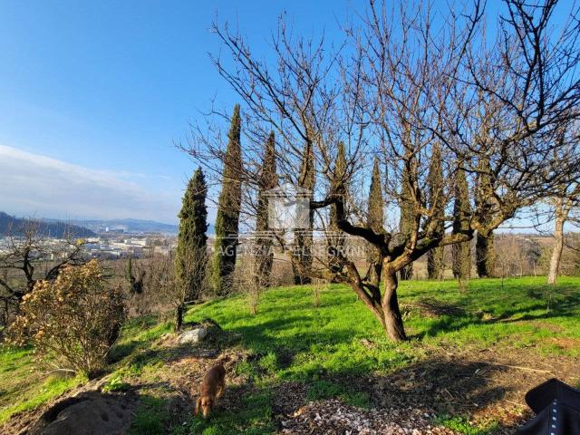 Villa Indipendente in affitto a Altavilla Vicentina, Veneto