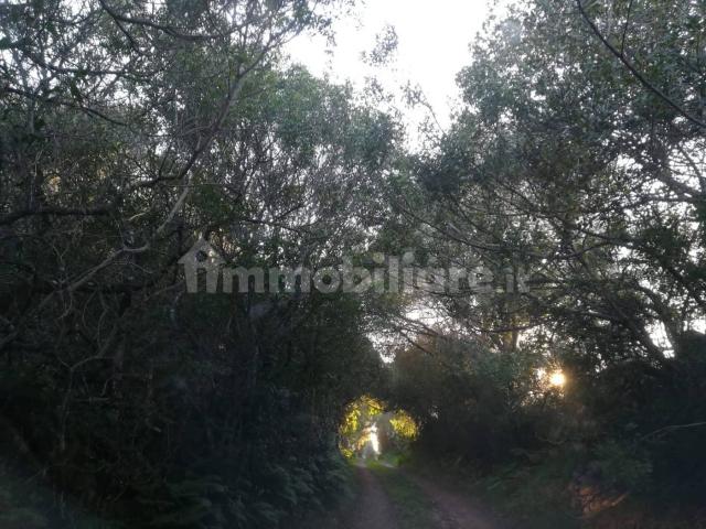 Villa Indipendente in affitto a Borghetto Di Vara, Liguria