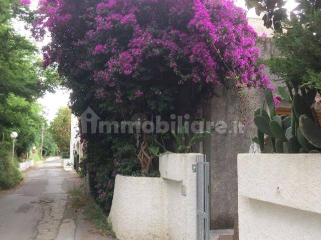 Villa Indipendente in affitto a Calabria, Cosenza