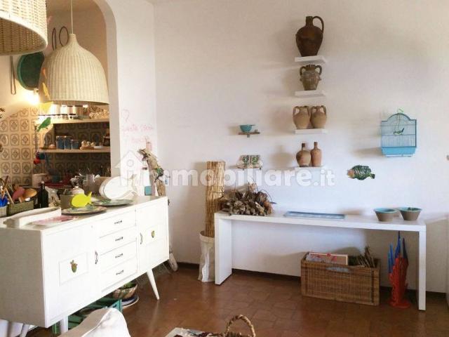Villa Indipendente in affitto a Calabria, Cosenza