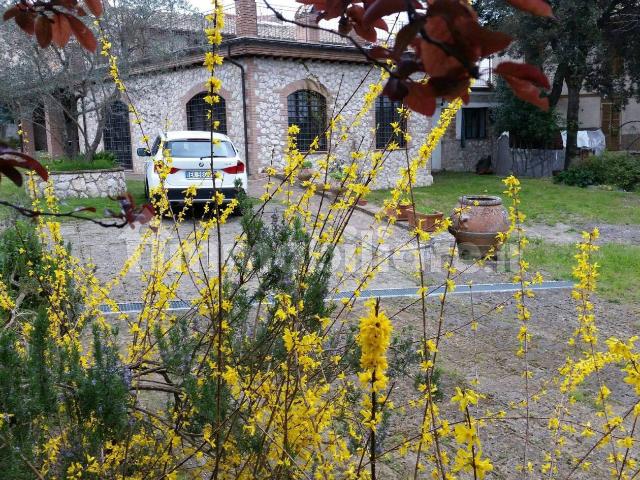 Villa Indipendente in affitto a Puglia, Barletta-andria-trani