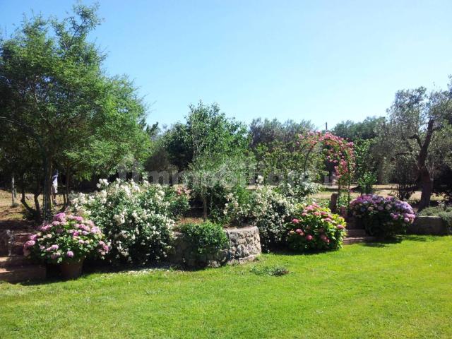 Villa Indipendente in affitto a Orbetello, Toscana