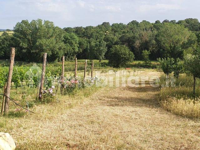 Villa Indipendente in affitto a Cinigiano, Toscana