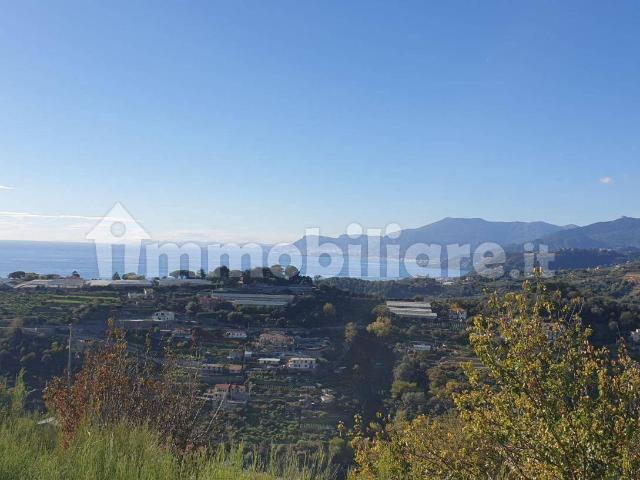 Villa Indipendente in affitto a Arziglia, Bordighera