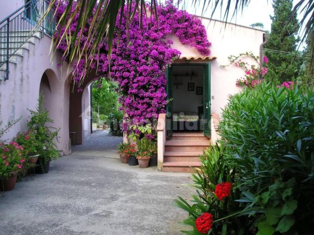 Villa Indipendente in affitto a Marciana, Toscana
