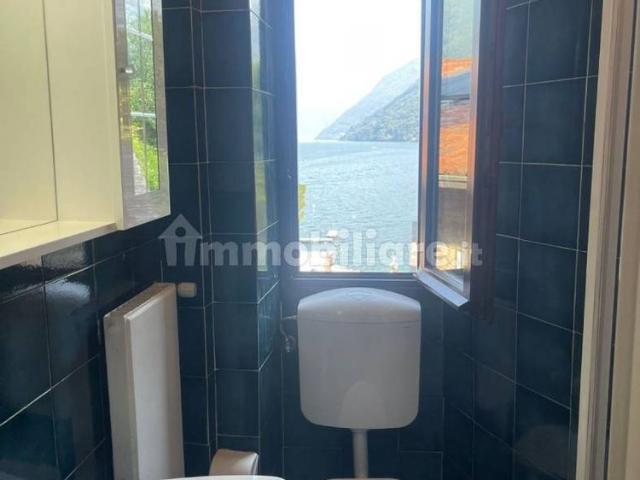 Villa Indipendente in affitto a Faggeto Lario, Lombardia