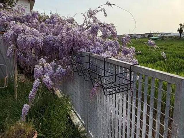 Villa Indipendente in affitto a Ponte di Castegnero, Castegnero