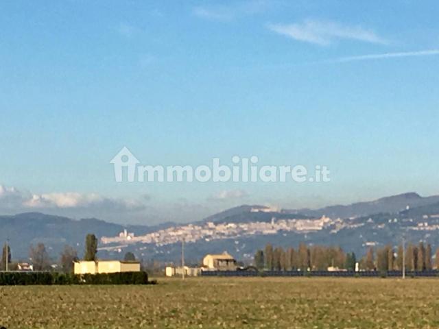 Villa Indipendente in affitto a Cannara, Umbria