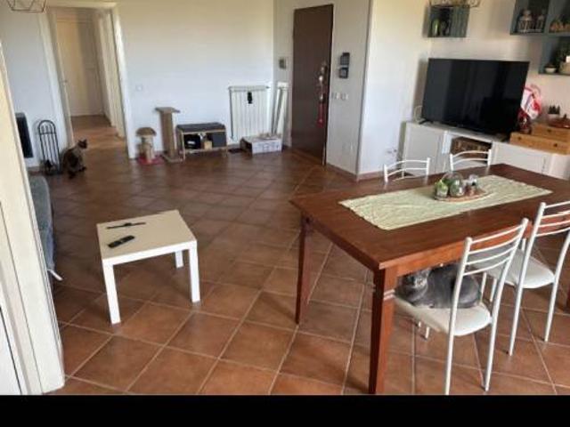 Villa Indipendente in affitto a Borgo Molino, Marche