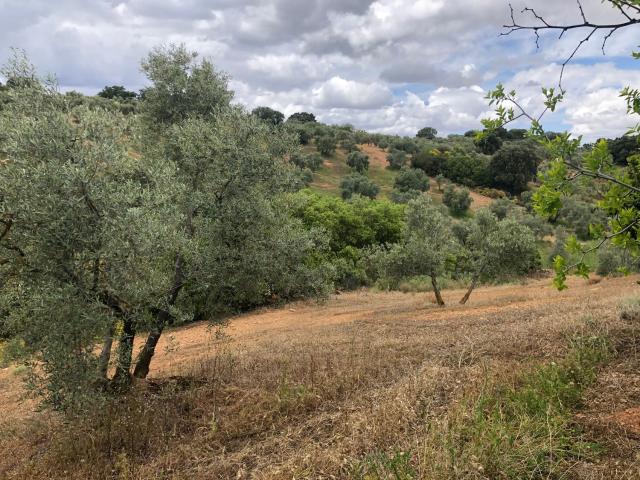 Chalet en venta en Nororma, Andalucía