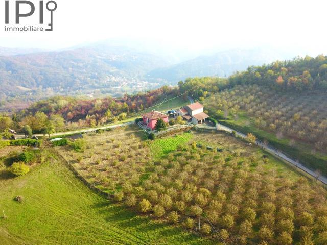 Villa Indipendente in vendita a Piemonte, Alessandria
