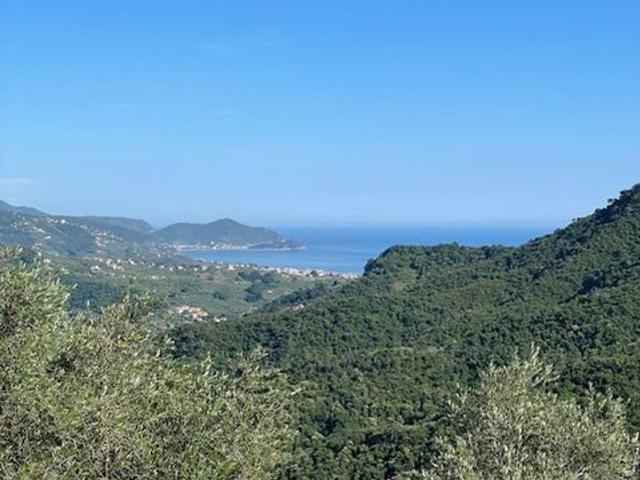 Villa Indipendente in vendita a Leivi, Liguria