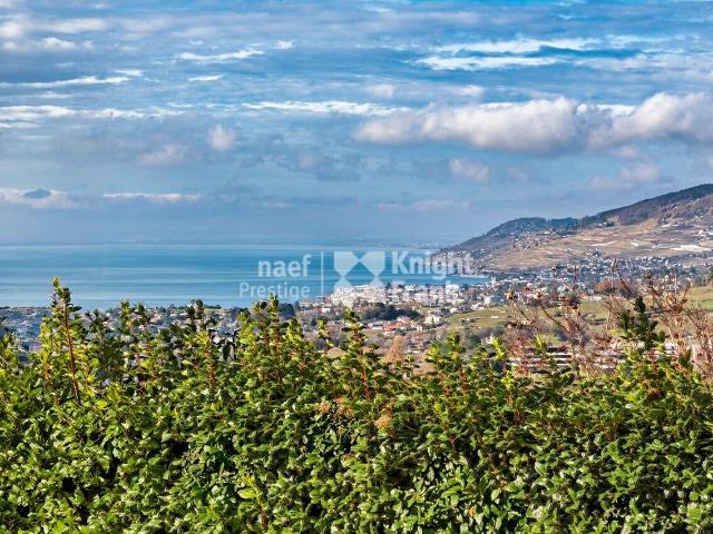 Einfamilienhaus kaufen in Chailly-Montreux, Waadt