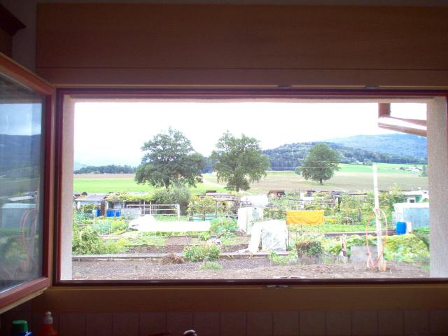 Einfamilienhaus kaufen