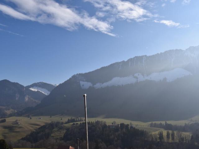 Einfamilienhaus kaufen