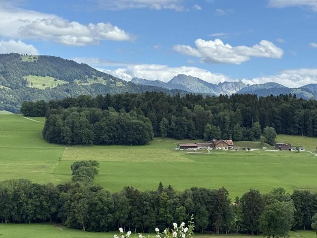 Einfamilienhaus kaufen