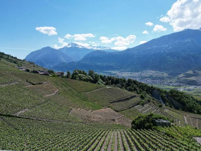 Einfamilienhaus kaufen in Lens, Wallis