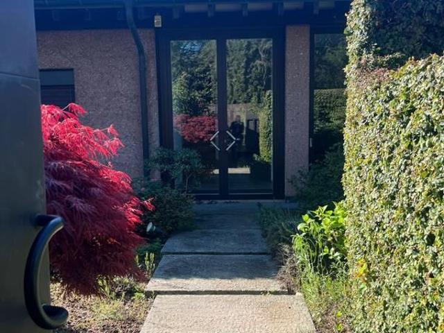 Einfamilienhaus kaufen