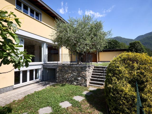 Einfamilienhaus kaufen